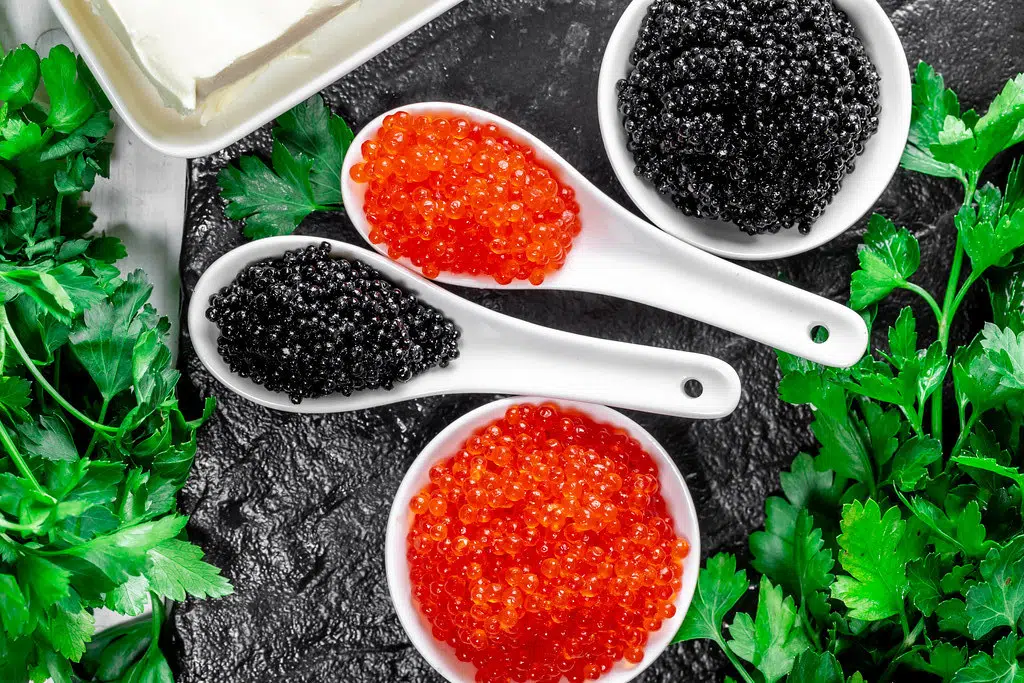 كيفية تذوق caviar1 بشكل صحيح