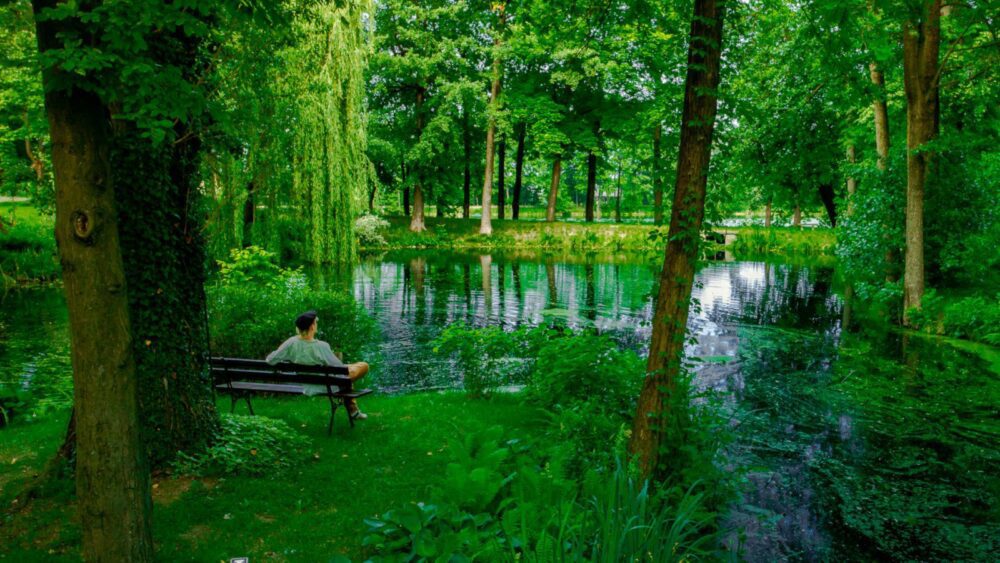 فندق مانور هاوس بارك