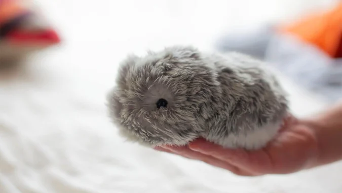 هل Moflin روبوت