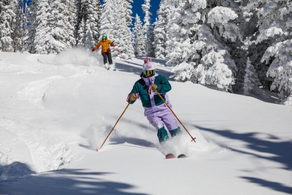 كم تكلفة الزلاجات الفاخرة