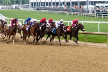 كون الفولبلود الإنجليزي الأصيل الذي أنشأ رياضة الفروسية الحديثة