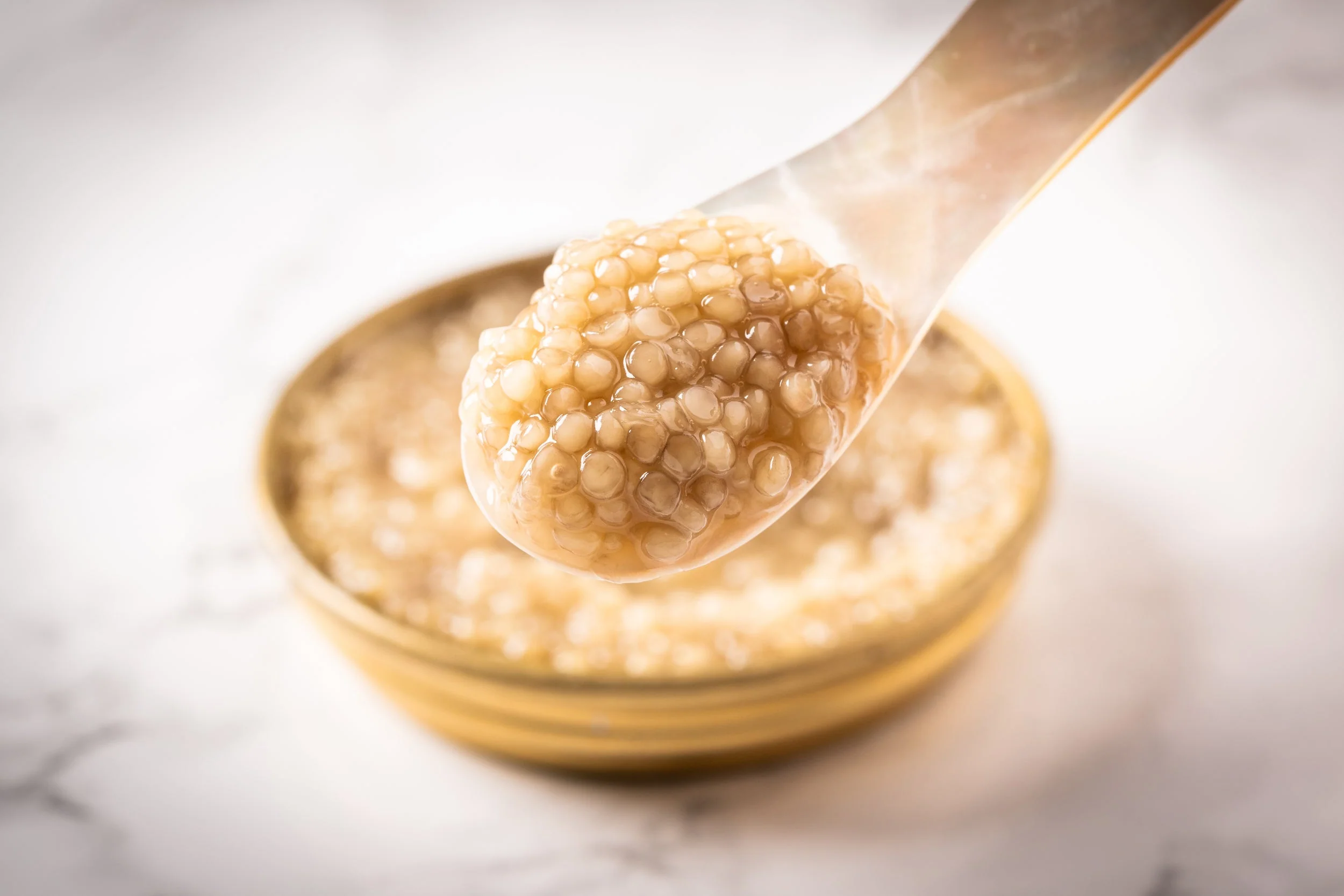 كيف يبدو الكافيار