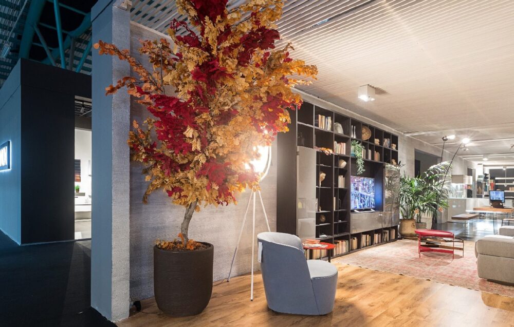 كيفية تثبيت النباتات مدونة