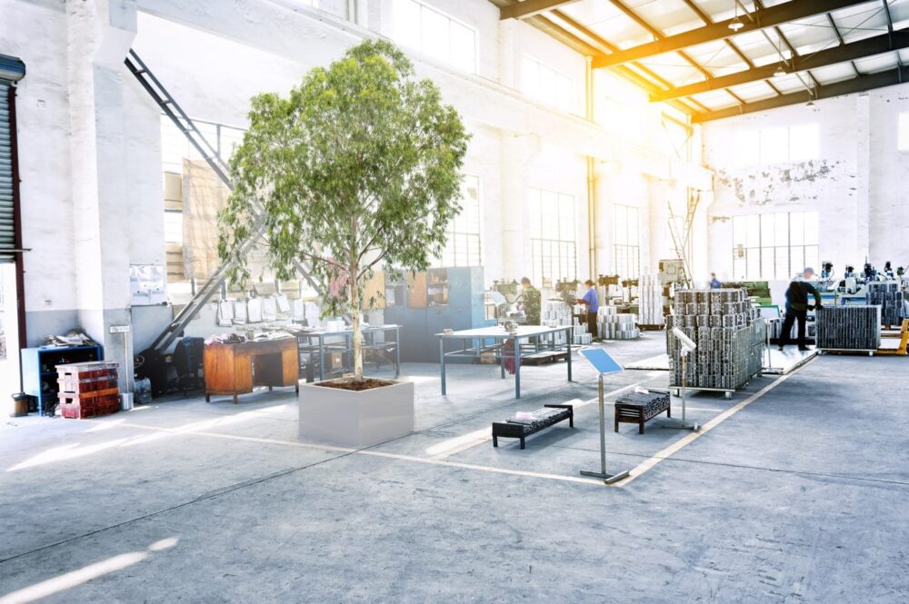 كيفية تثبيت النباتات