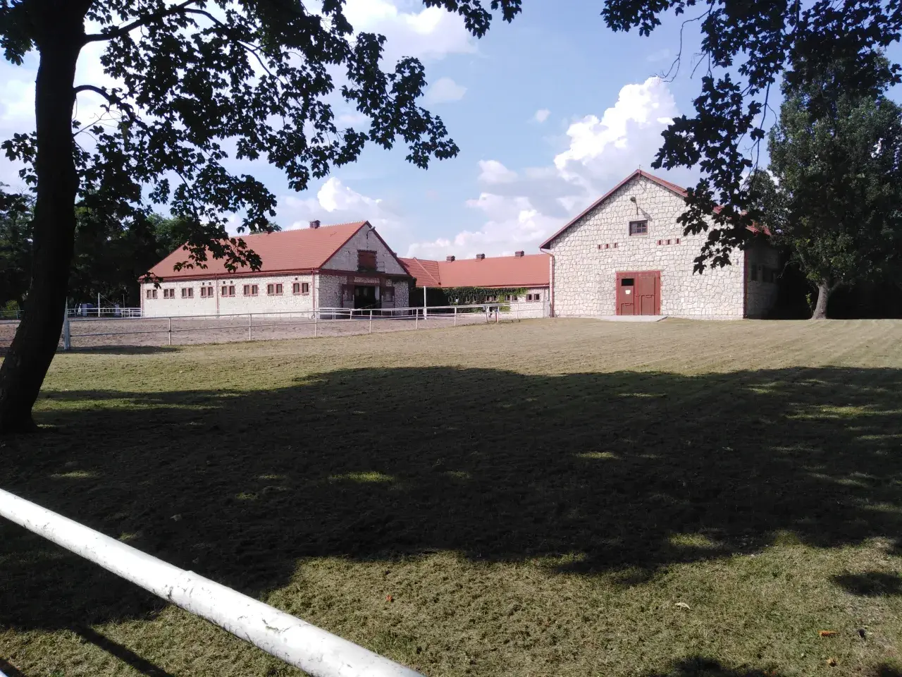 الخيول العربية في بولندا