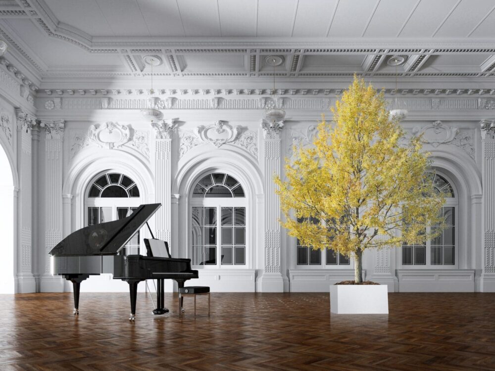 النباتات المثبتة