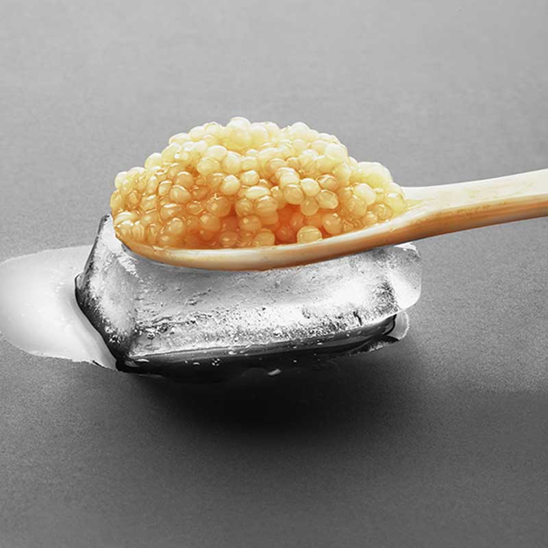 ما هو Kest Kawior