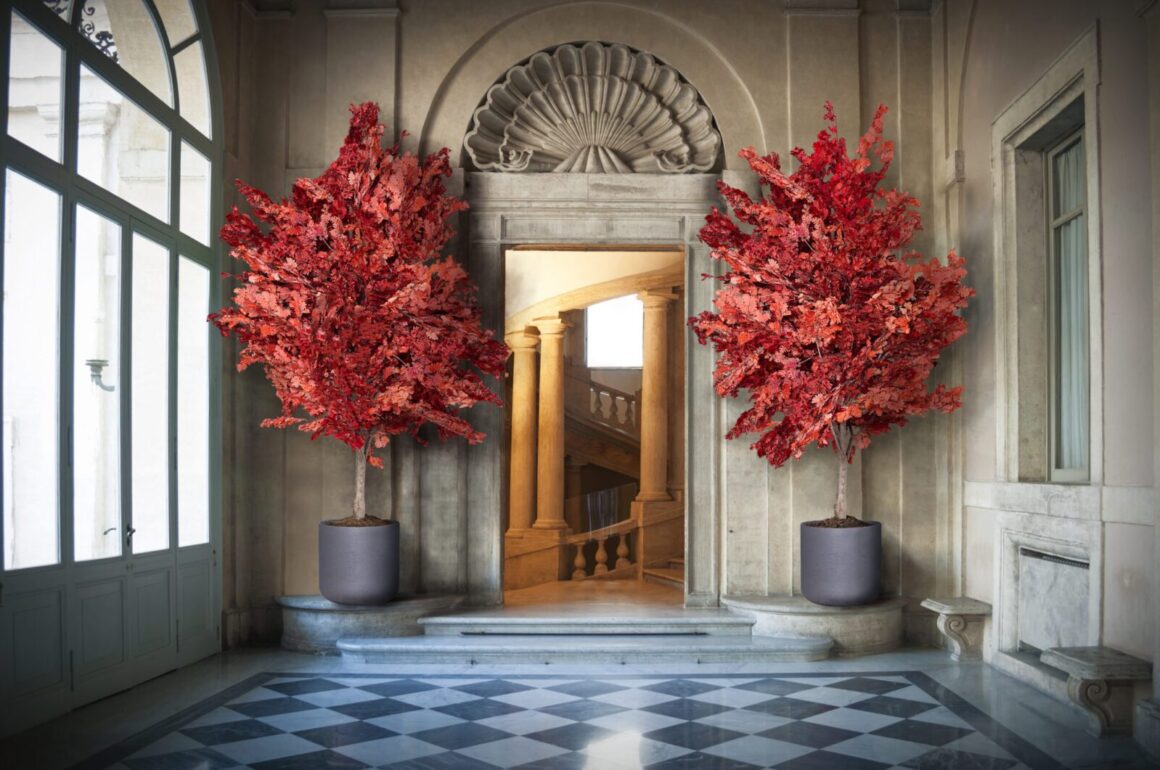 ما هو تثبيت النباتات