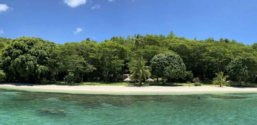 مدونة فيدجي