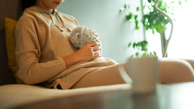 مدونة موفلين