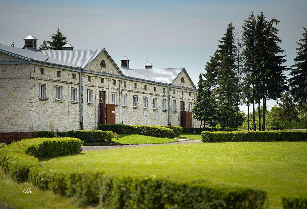 إسطبل خيول بياوكا