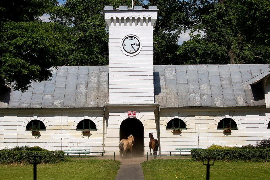 إسطبلات الخيول العربية في بولندا