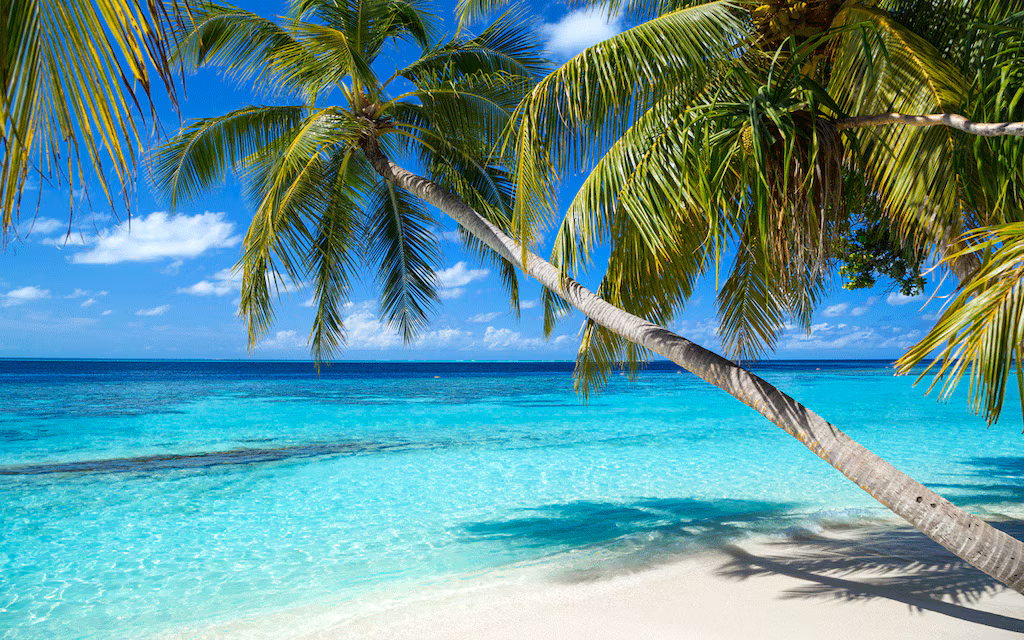 عطلة في الكاريبي