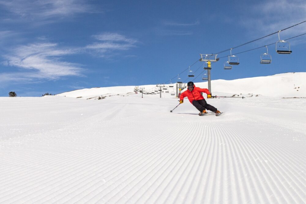 زلاجات بريميوم للمحترفين