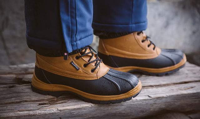 Vertigo Alpes – ما هي هذه الشركة؟