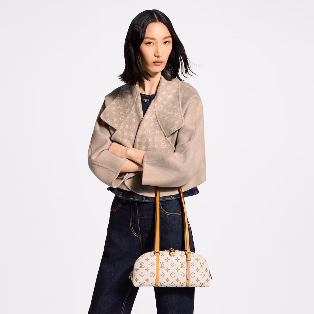 حقيبة Louis Vuitton